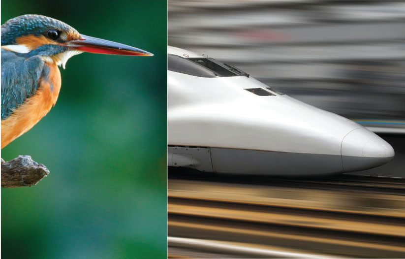 The beak of the Kingfisher inspired Eiji Nakatsu, chief engineer of the West Japan Railway, and his team to design the lead unit on the Japanese high-speed Shinkansen train.